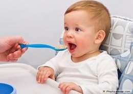 11-month-baby-food-chart